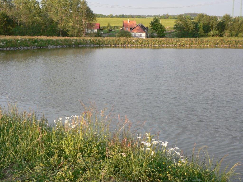 Panský rybník