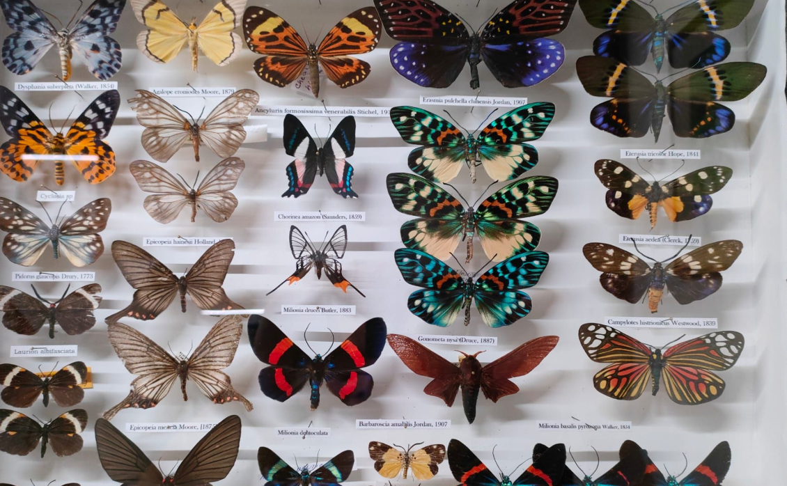 snimek-obrazovky-2025-09-02-092631.png (1130×698)